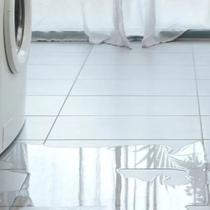 Appliance Leak Cleanup in Springdale, NJ