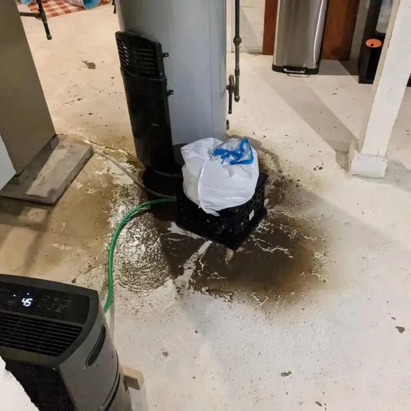 Sewage Backup Cleanup Service in Springdale, NJ